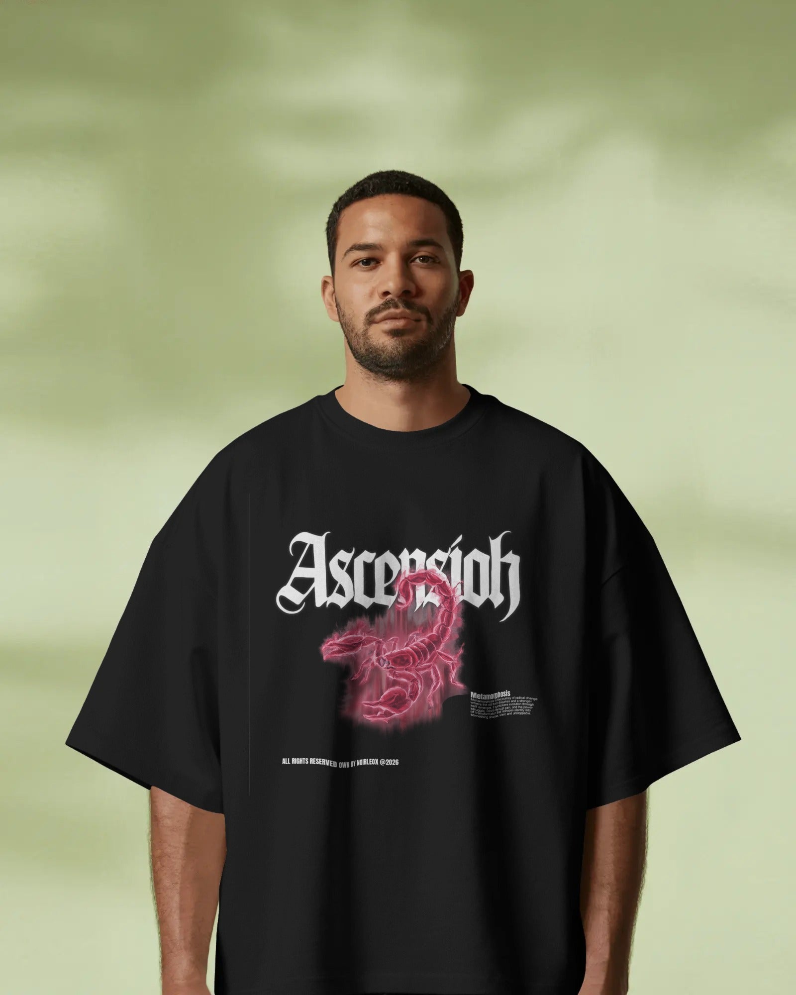 Unisex Oversized Classic T-Shirt